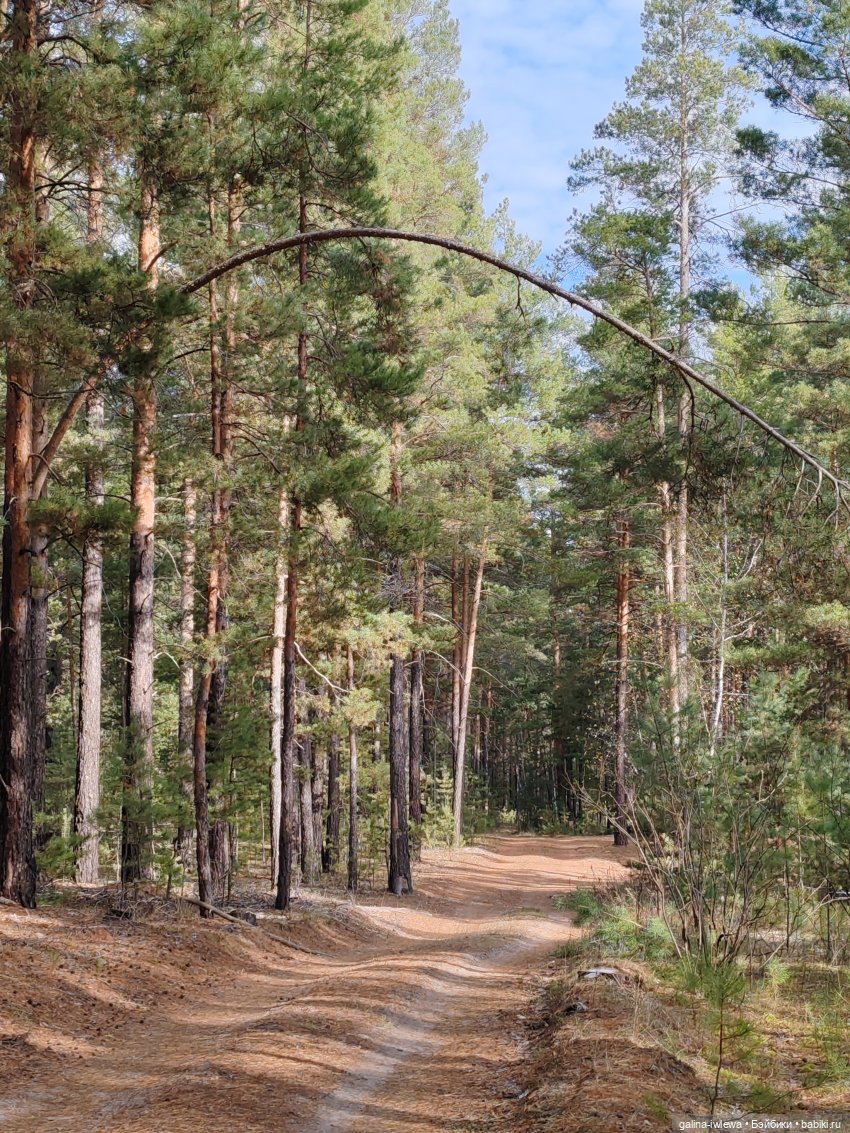 Осенняя прогулка Василя — Куклы Реборн (Reborn): домашние фото