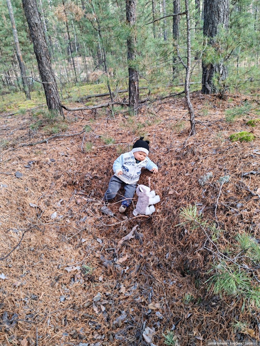 Осенняя прогулка Василя — Куклы Реборн (Reborn): домашние фото