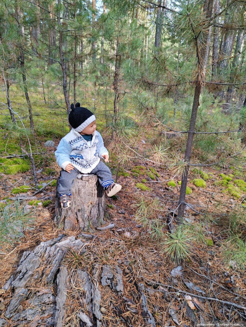 Осенняя прогулка Василя — Куклы Реборн (Reborn): домашние фото