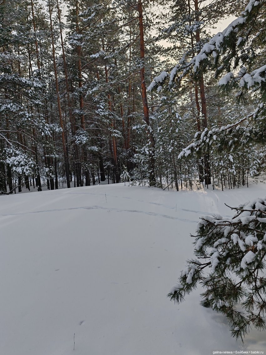 Дина в зимнем лесу — Куклы Реборн (Reborn): домашние фото (фото 7)