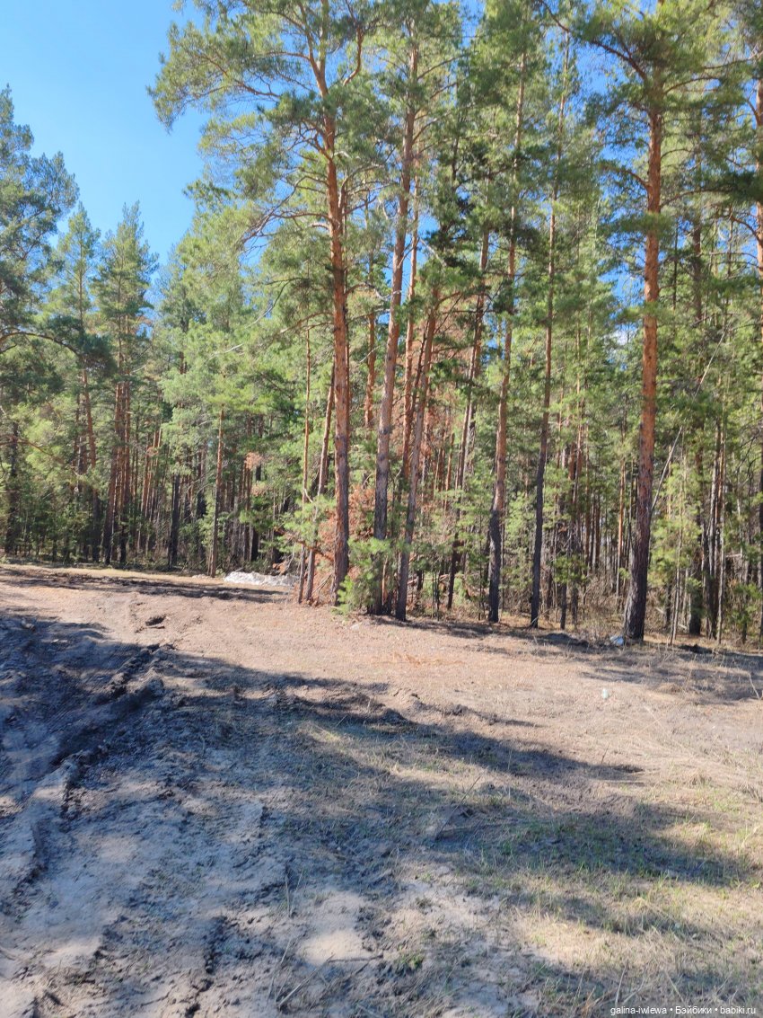 Летний месяц апрель — Куклы Реборн (Reborn): домашние фото (фото 2)