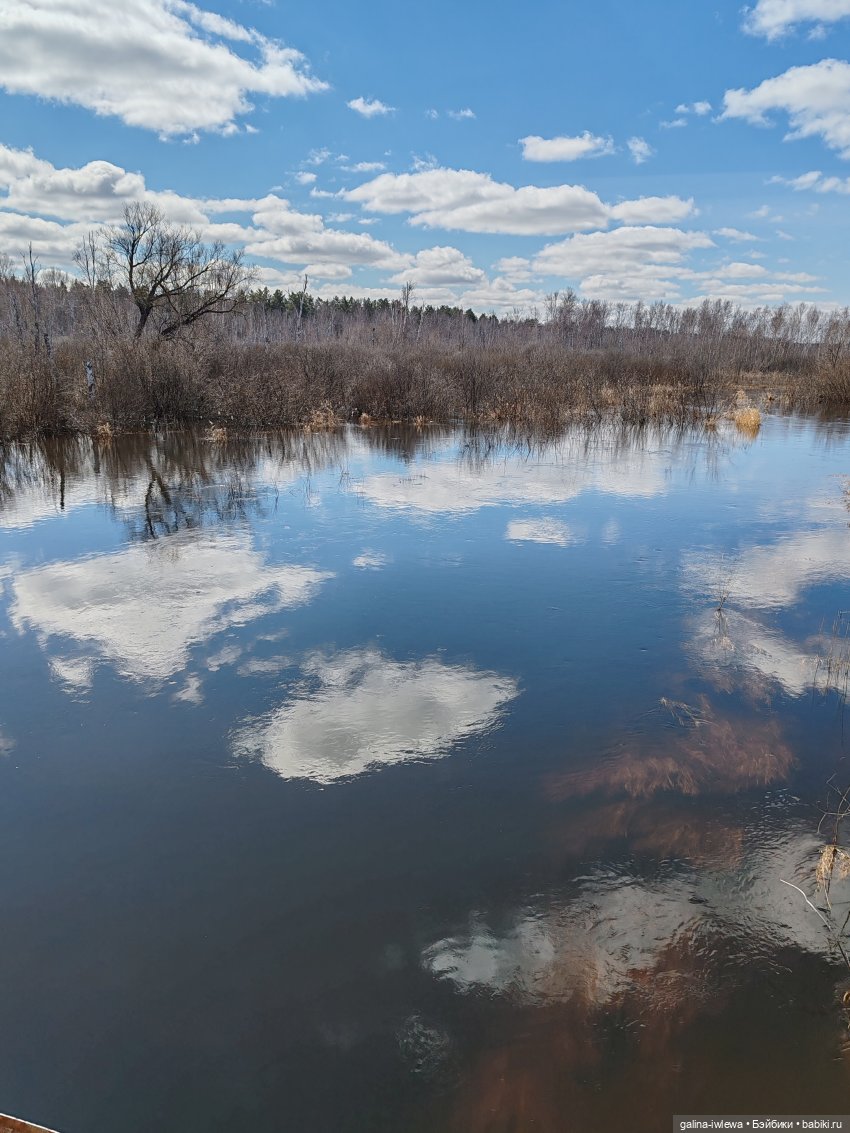 Летний месяц апрель — Куклы Реборн (Reborn): домашние фото