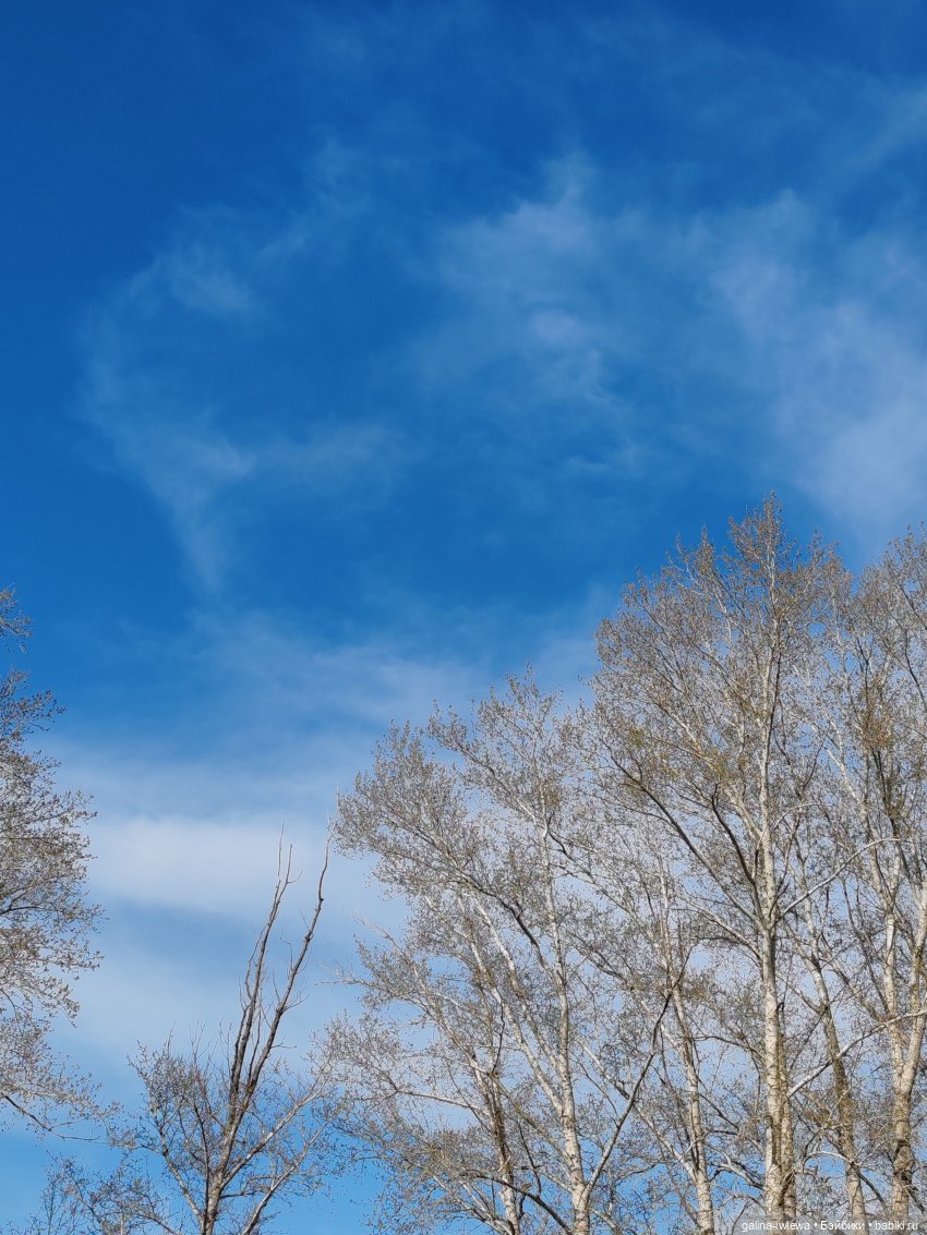 Летний месяц апрель — Куклы Реборн (Reborn): домашние фото (фото 3)