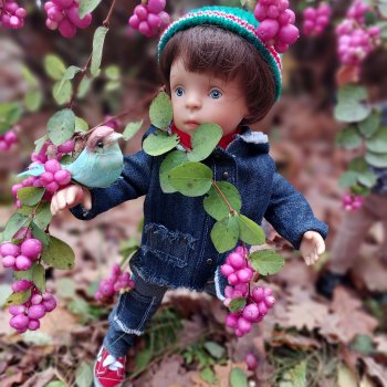 Красота Осени