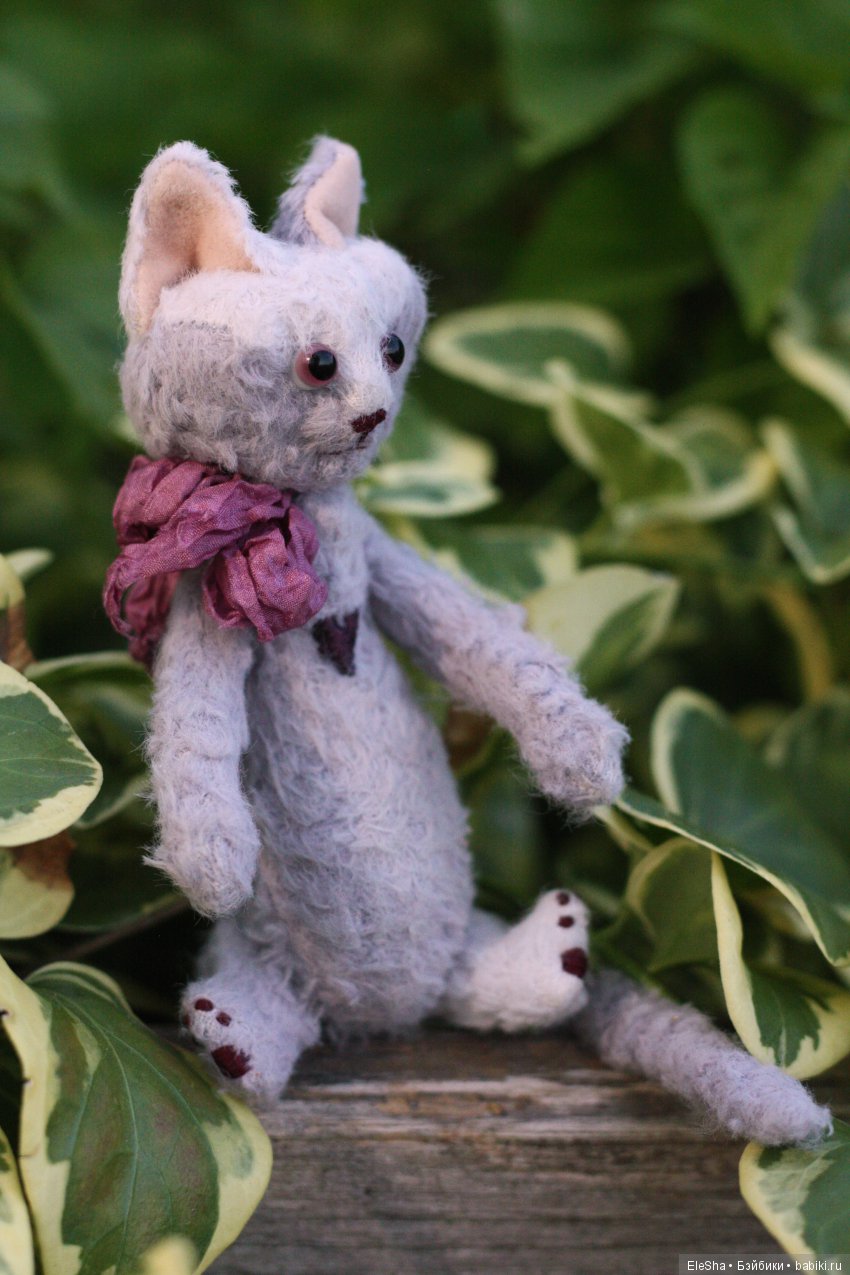 Приморское путешествие Лотты и Кота (фото 6)