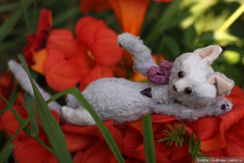 Приморское путешествие Лотты и Кота (фото 7)