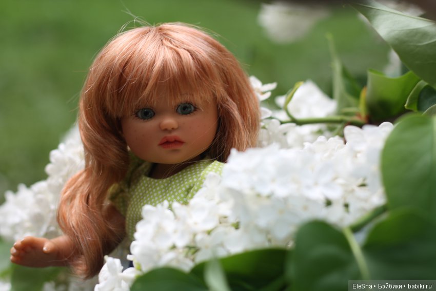 Приморское путешествие Лотты и Кота (фото 3)