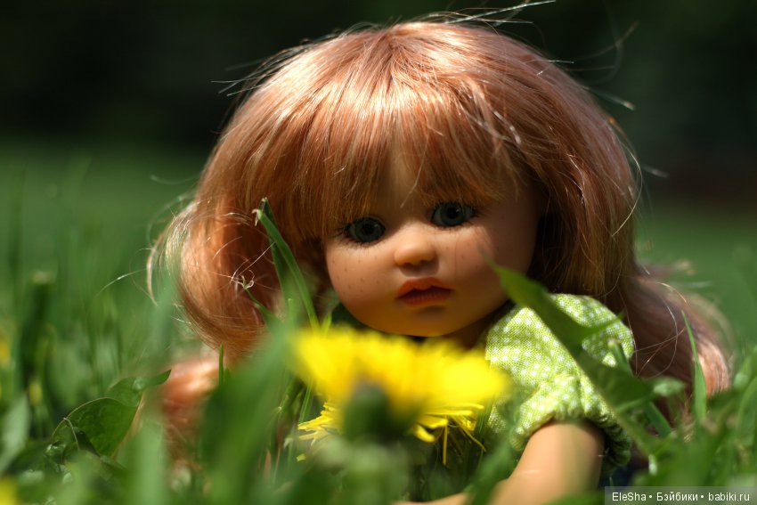 Приморское путешествие Лотты и Кота