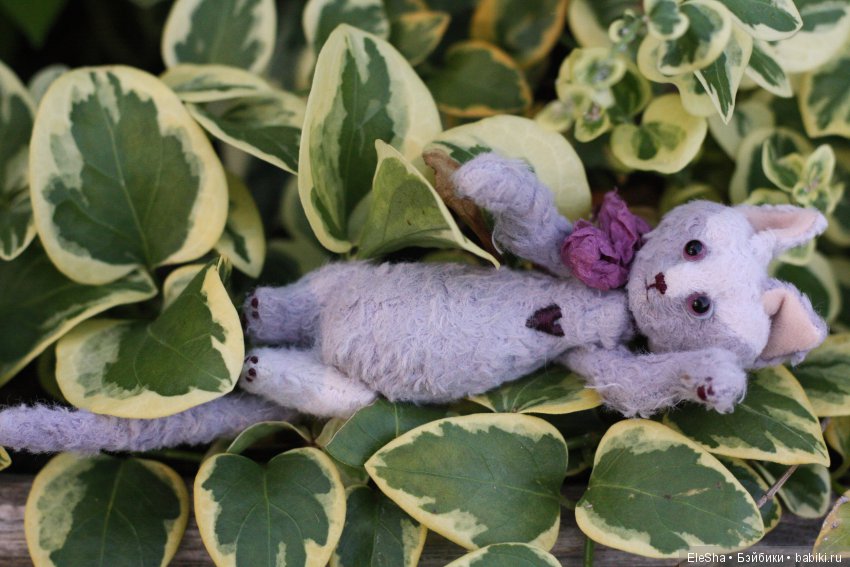 Приморское путешествие Лотты и Кота