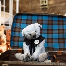 Мой новый мишка