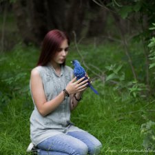 Синяя Птица