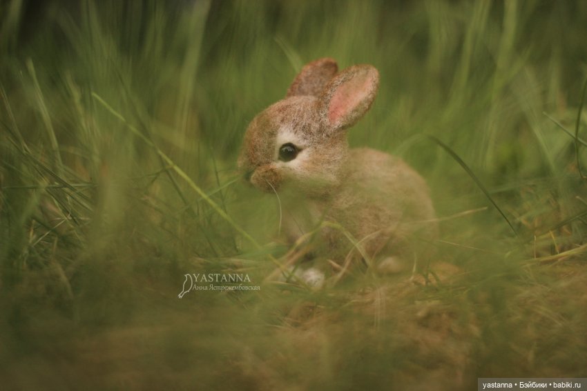 Апрельские зайцы — Валяные игрушки из шерсти: сухое валяние