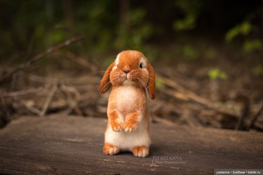 Апрельские зайцы — Валяные игрушки из шерсти: сухое валяние (фото 6)