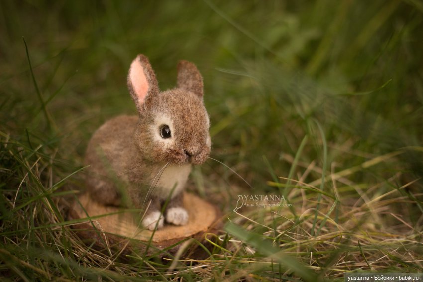 Апрельские зайцы — Валяные игрушки из шерсти: сухое валяние