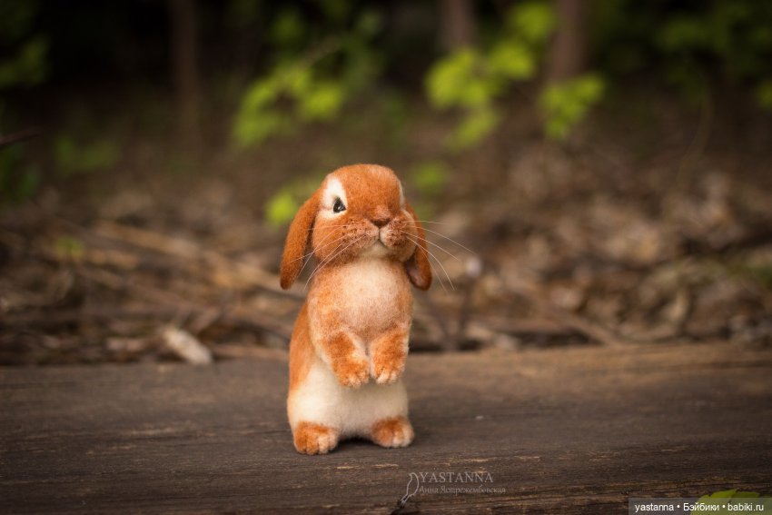 Апрельские зайцы — Валяные игрушки из шерсти: сухое валяние (фото 7)