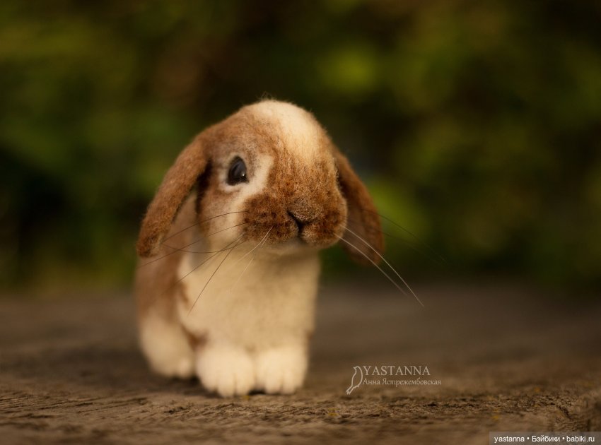 Апрельские зайцы — Валяные игрушки из шерсти: сухое валяние (фото 9)