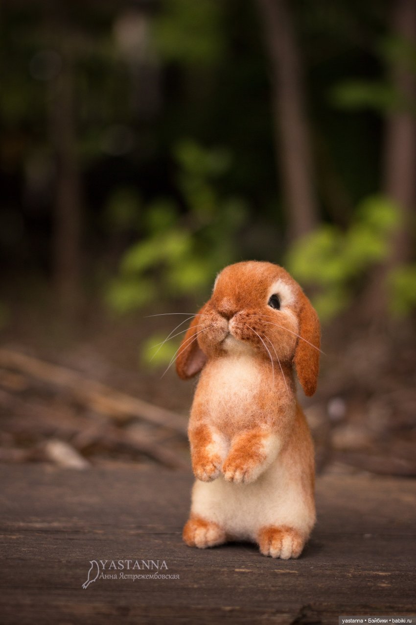 Апрельские зайцы — Валяные игрушки из шерсти: сухое валяние (фото 3)