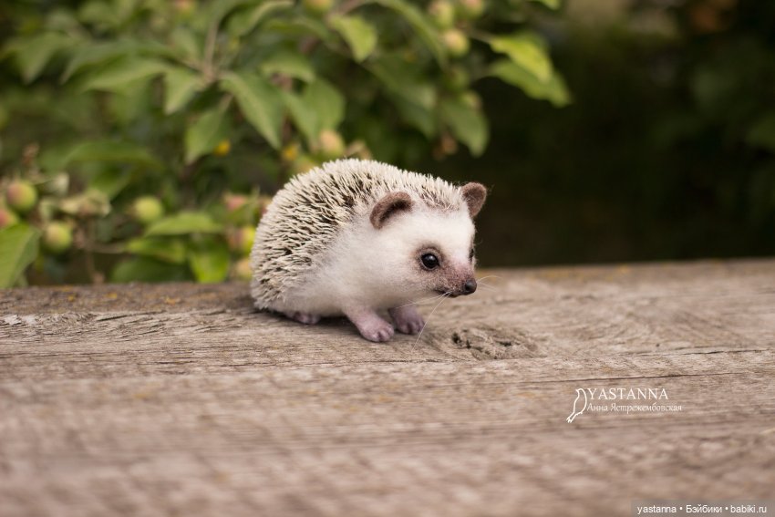 Валяные игрушки из шерсти: сухое валяние (фото 5)