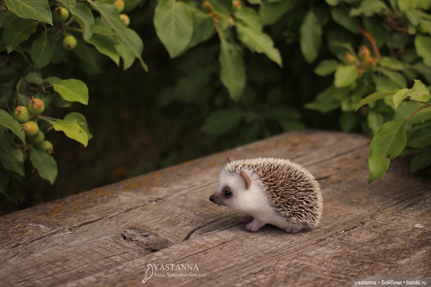 Валяные игрушки из шерсти: сухое валяние