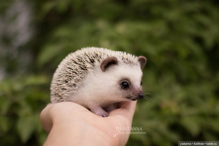 Валяные игрушки из шерсти: сухое валяние