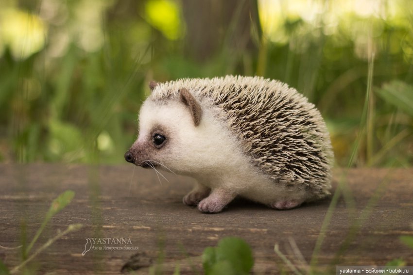 Валяные игрушки из шерсти: сухое валяние