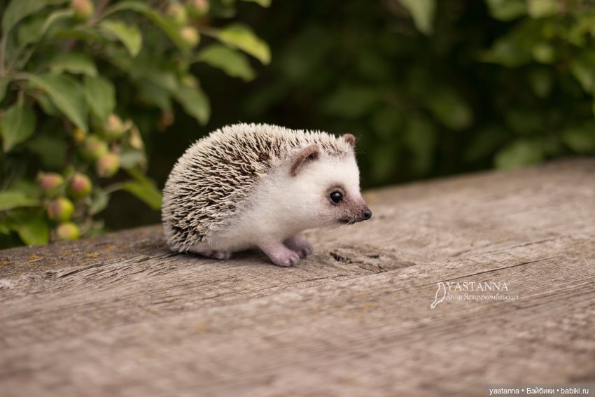 Валяные игрушки из шерсти: сухое валяние (фото 4)