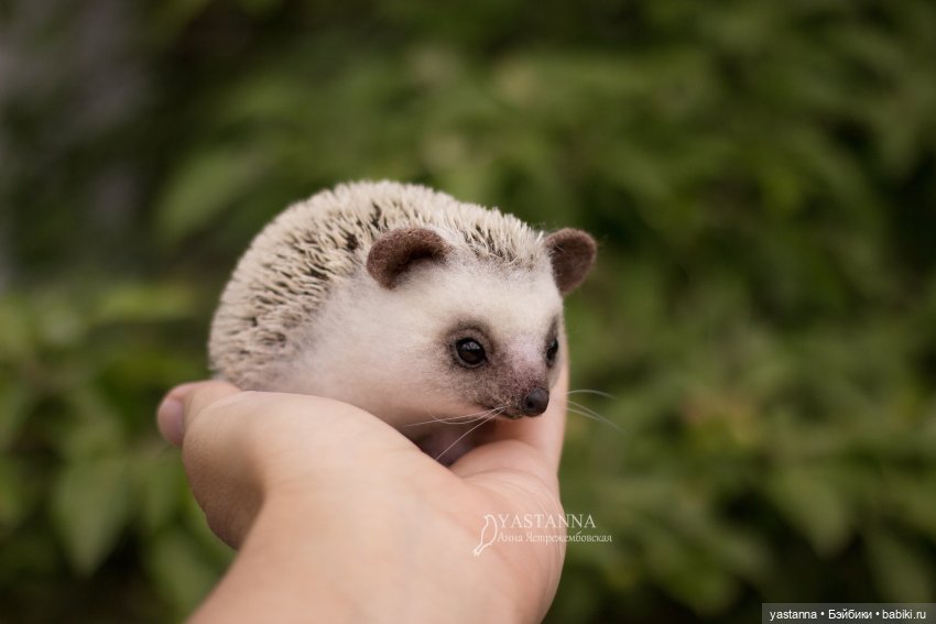 Валяные игрушки из шерсти: сухое валяние