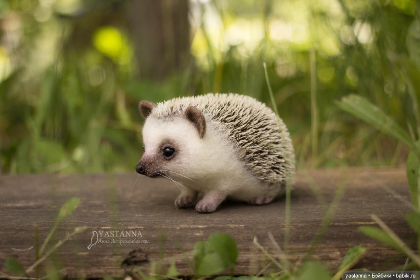 Валяные игрушки из шерсти: сухое валяние