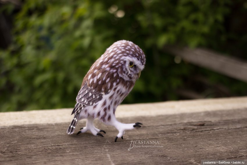 День Медика — Валяные игрушки из шерсти: сухое валяние (фото 9)