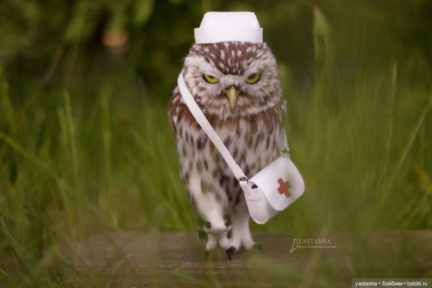 День Медика — Валяные игрушки из шерсти: сухое валяние (фото 3)