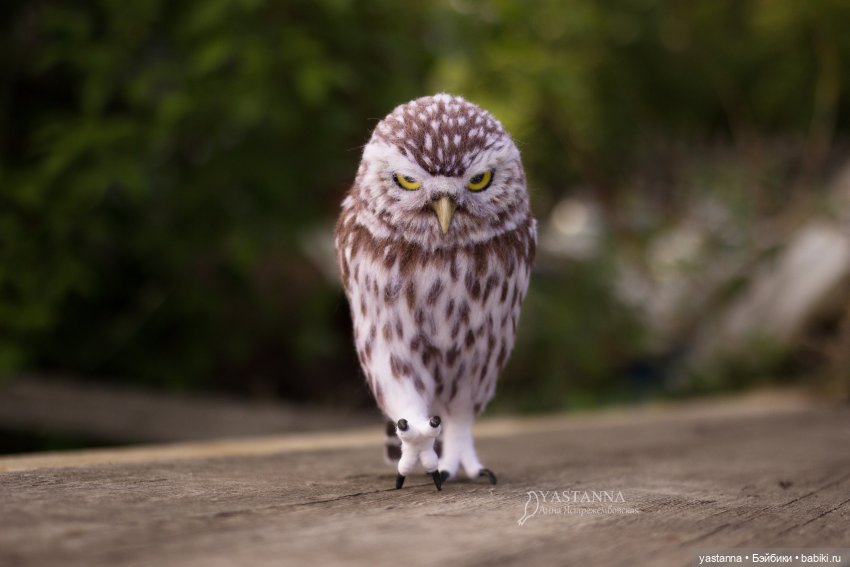 День Медика — Валяные игрушки из шерсти: сухое валяние (фото 7)