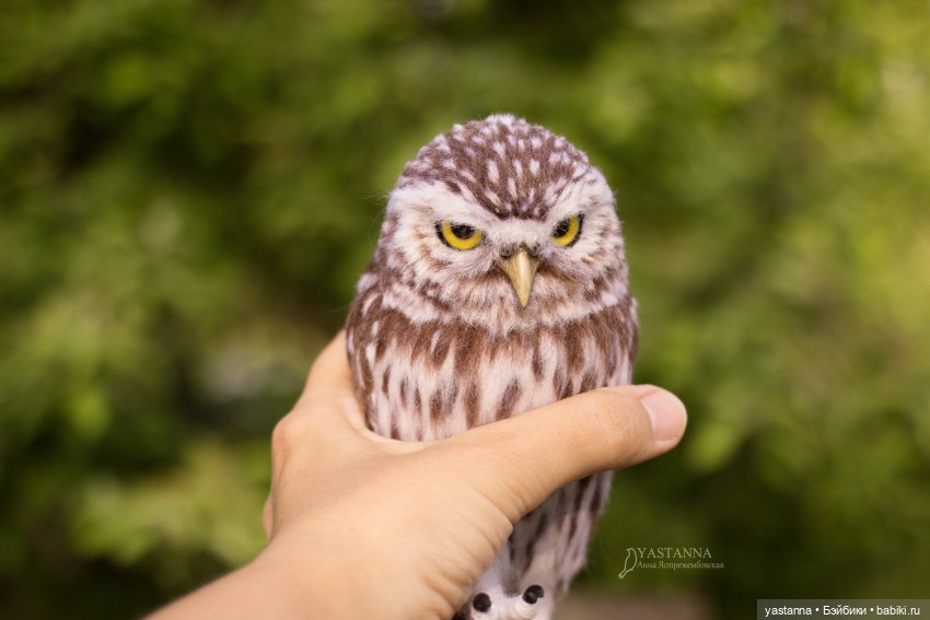 День Медика — Валяные игрушки из шерсти: сухое валяние