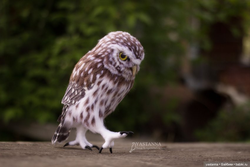 День Медика — Валяные игрушки из шерсти: сухое валяние (фото 10)