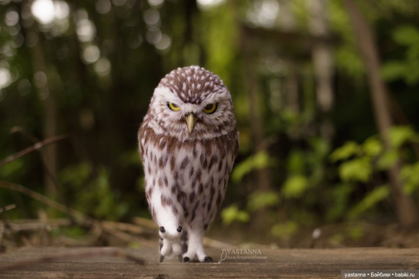 День Медика — Валяные игрушки из шерсти: сухое валяние