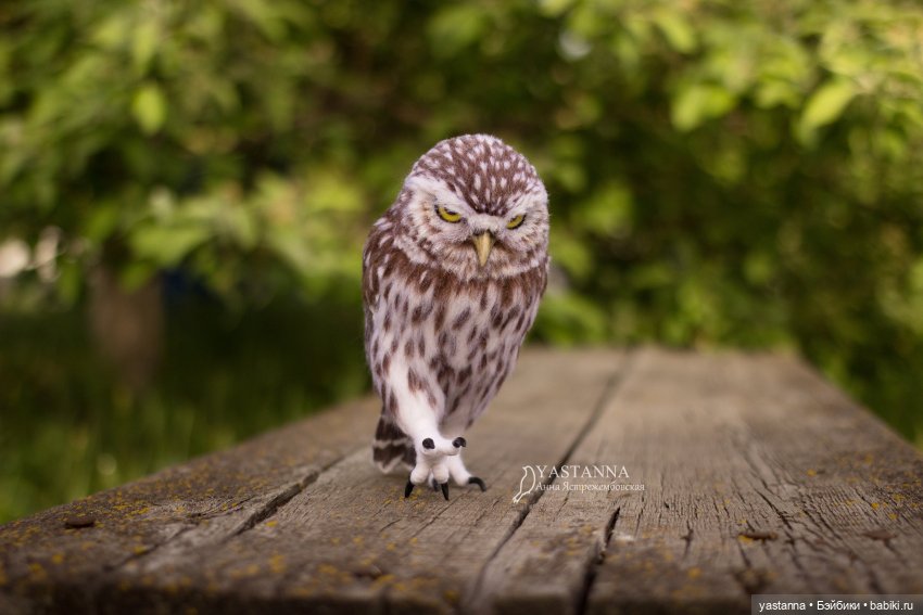 День Медика — Валяные игрушки из шерсти: сухое валяние