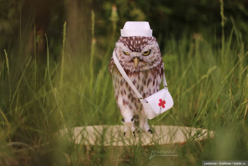 День Медика — Валяные игрушки из шерсти: сухое валяние