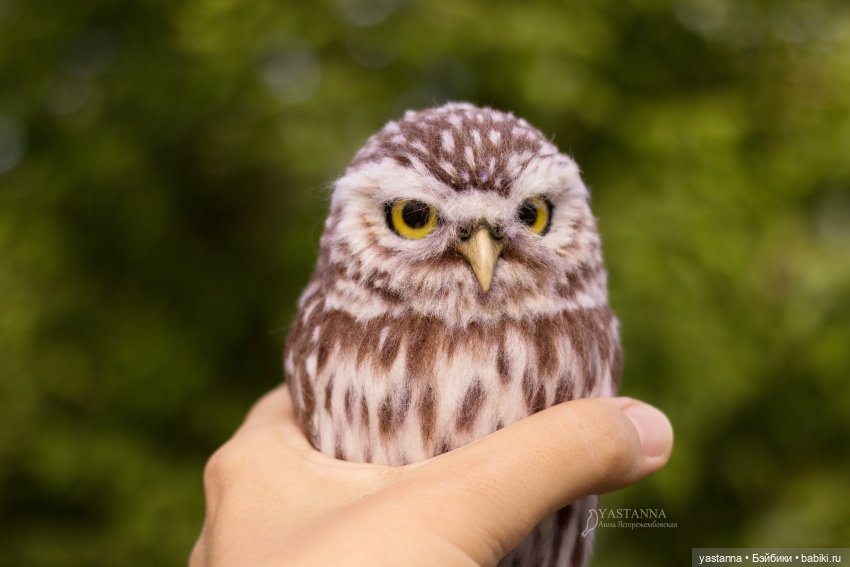 День Медика — Валяные игрушки из шерсти: сухое валяние