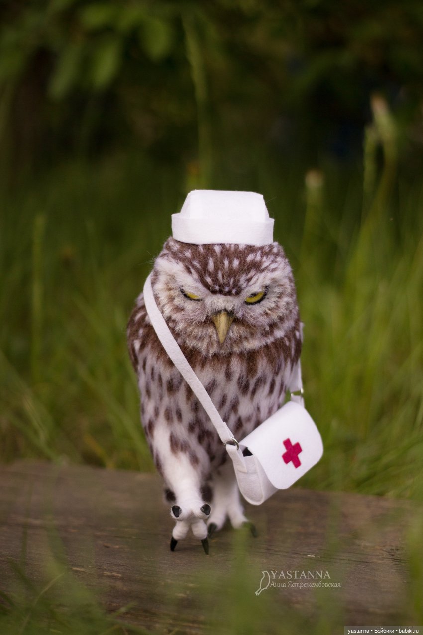 День Медика — Валяные игрушки из шерсти: сухое валяние (фото 4)