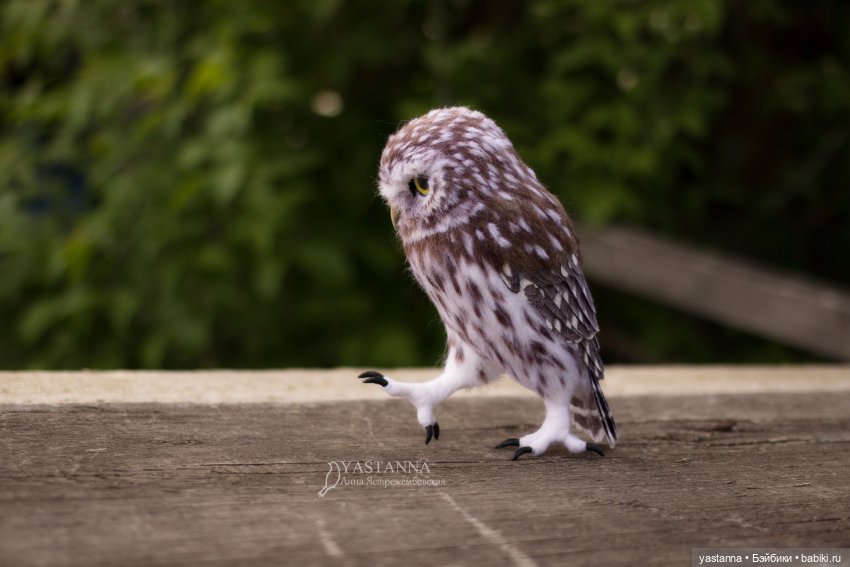 День Медика — Валяные игрушки из шерсти: сухое валяние (фото 8)