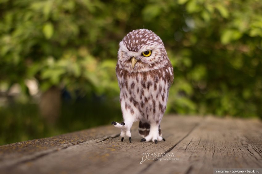 День Медика — Валяные игрушки из шерсти: сухое валяние