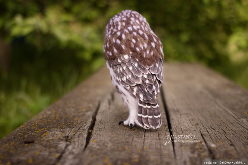 День Медика — Валяные игрушки из шерсти: сухое валяние