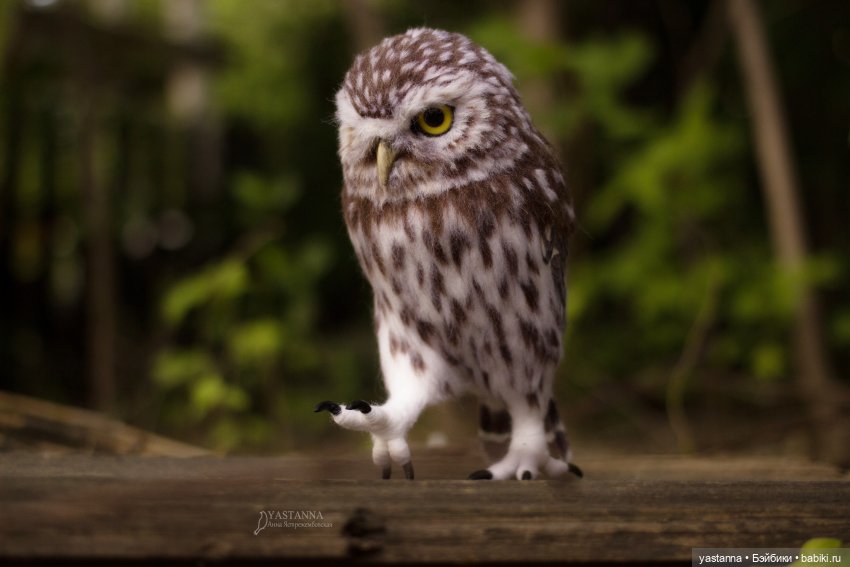 День Медика — Валяные игрушки из шерсти: сухое валяние