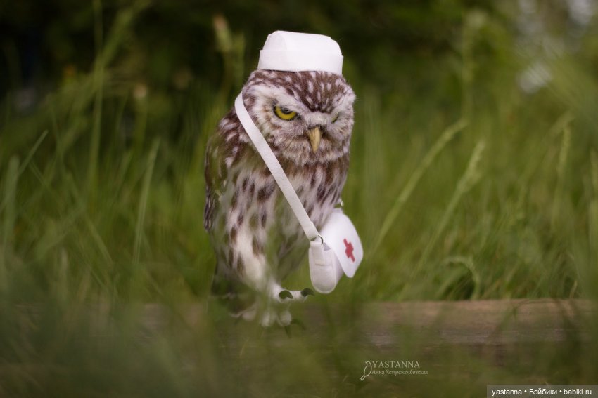 День Медика — Валяные игрушки из шерсти: сухое валяние (фото 2)