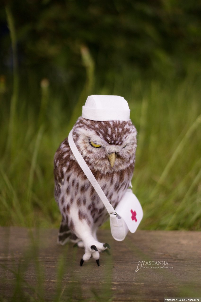 День Медика — Валяные игрушки из шерсти: сухое валяние (фото 5)