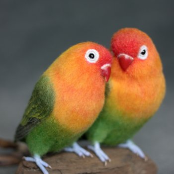 Неразлучники