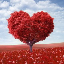 Привязанность к кукле