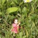 Прогулка с лошадью