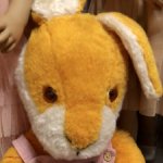 Редкий заяц ГДР