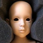 Dollshe Craft Rosa bjd