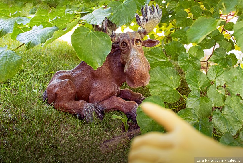 Живые куклы от Лары